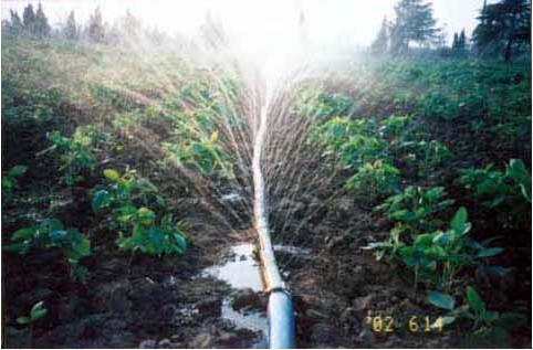 智能灌溉系统