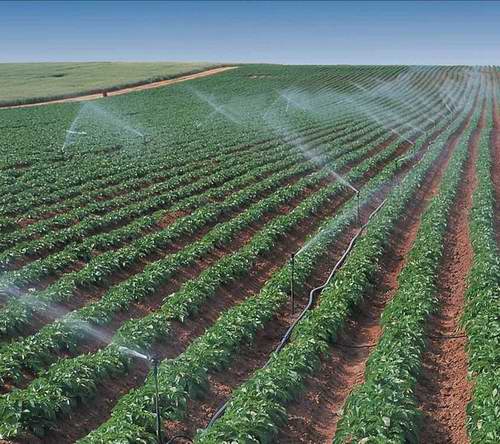 智能水产养殖系统-行业设备