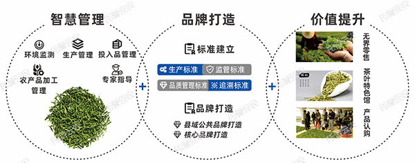 品牌建设